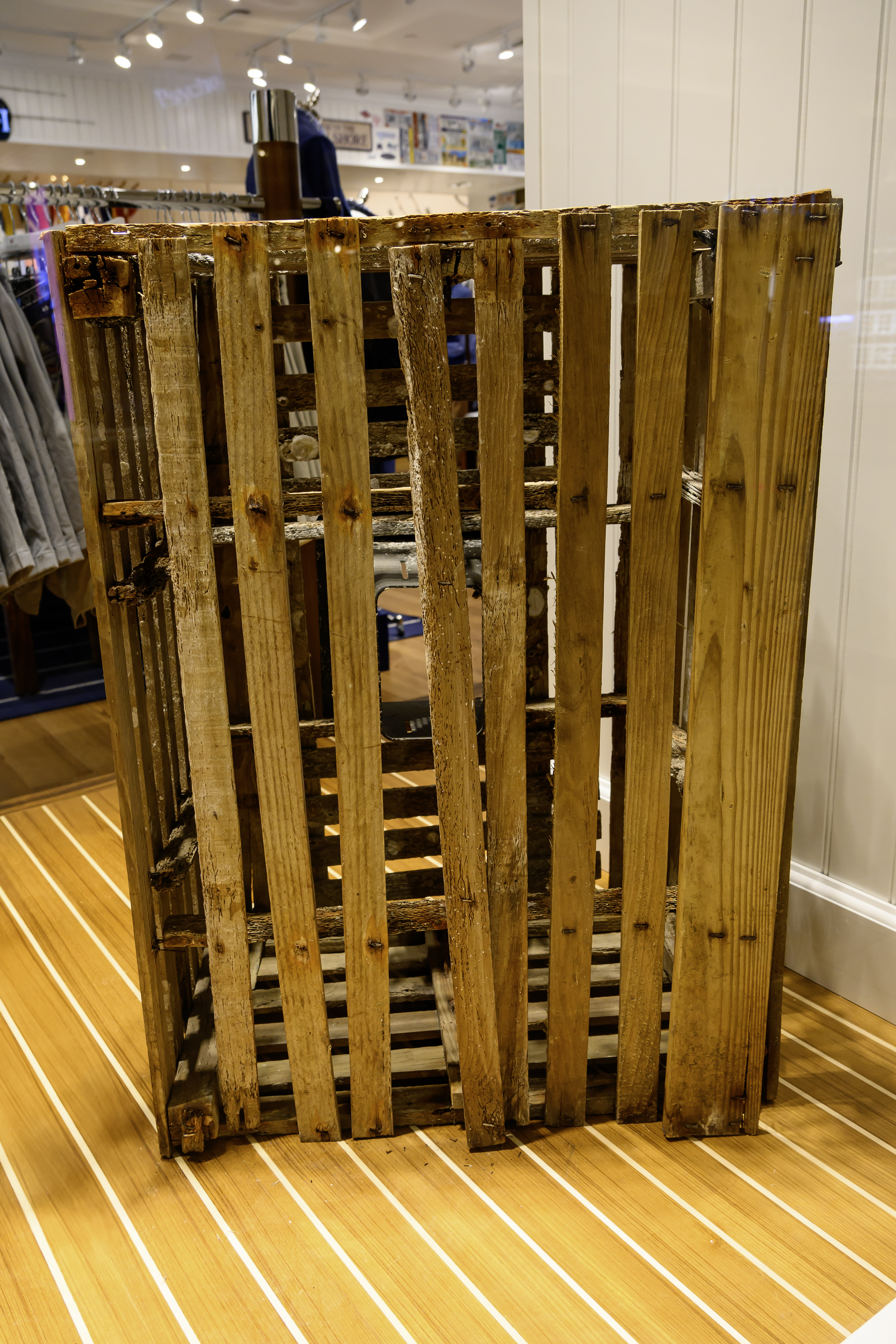 Image DSC_0070